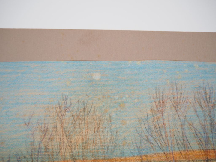 Mario CAVAGLIERI.  "Les Saules" Dessin, crayons de couleurs, signé en 