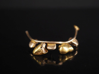 Vente aux enchères Débris d'or dentaire Poids tel : 11,17 g   