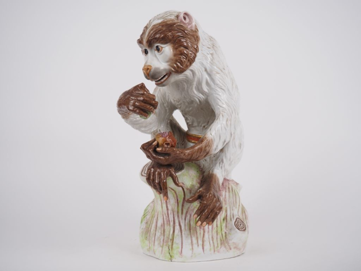 Grand sujet en porcelaine polychrome de Saxe XIXème "singe dégustant d