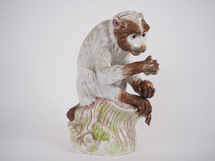 Grand sujet en porcelaine polychrome de Saxe XIXème "singe dégustant d