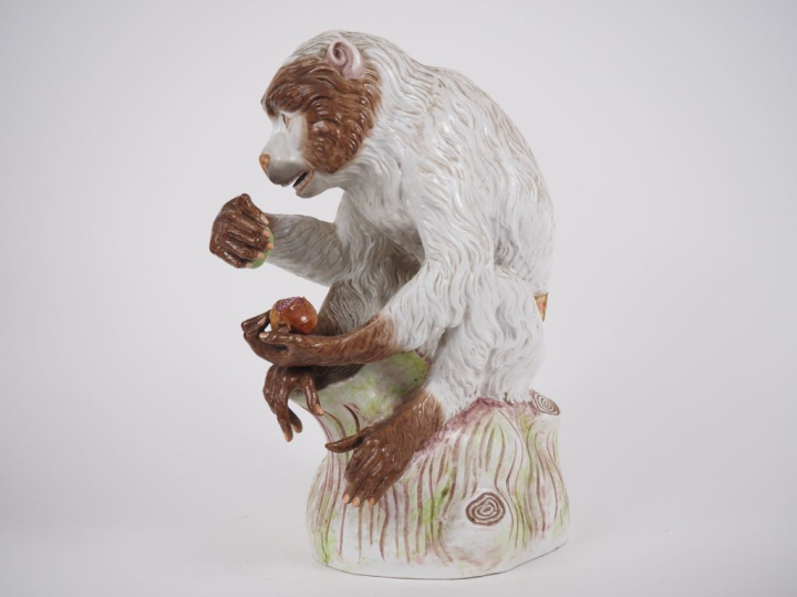 Grand sujet en porcelaine polychrome de Saxe XIXème "singe dégustant d