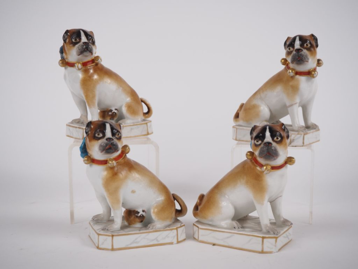 4 sujets en porcelaine de Saxe. "carlins assis"  H. 12 cm (petits acci