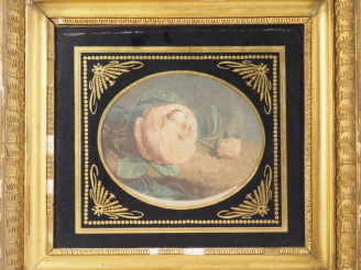 Vente aux enchères 4 gravures en couleur début XIXème dans des cadres en stuc doré et ver