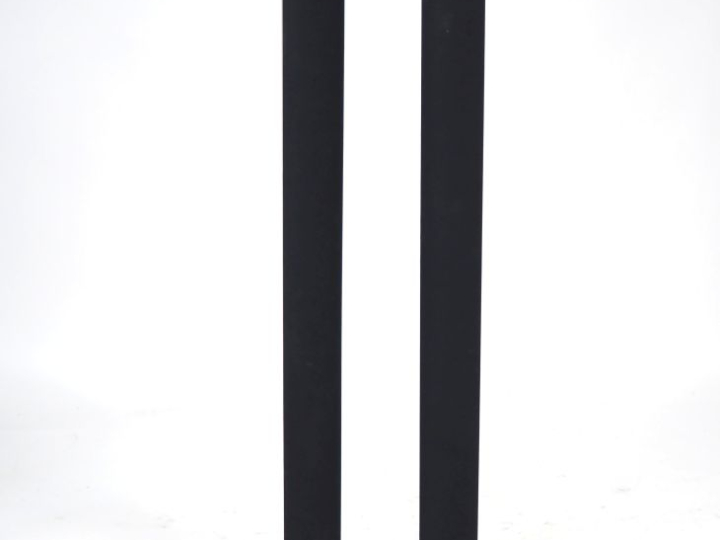 BANG   OLUFSEN.  Paire d'enceintes Beo Lab 6000 H. 110 cm