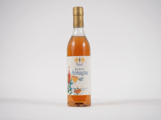 Vente aux enchères 1 BOUTEILLE EAU DE VIE D'ARMAGNAC DELORD 50 cl - 43 % 