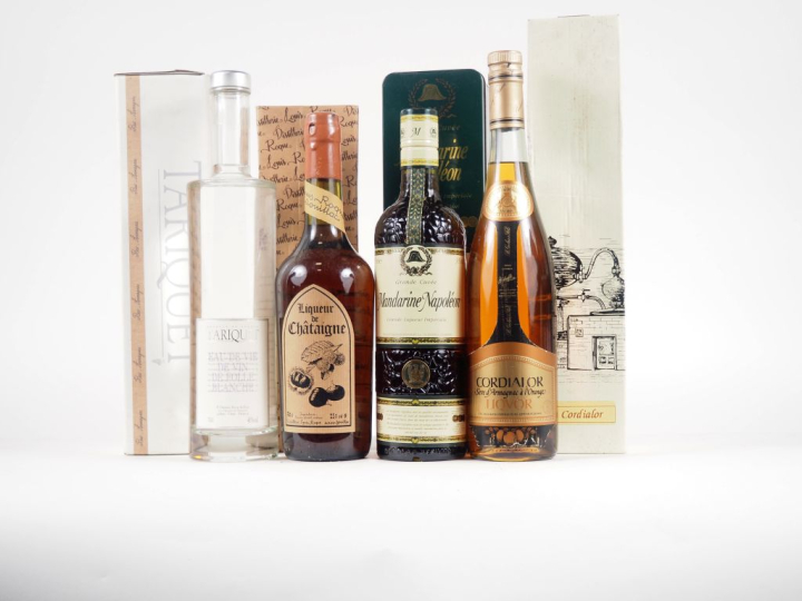 4 BOUTEILLES : 1 TARIQUET EAU DE VIE DE VIN DE FOLLE BLANCHE 70 cl 46 