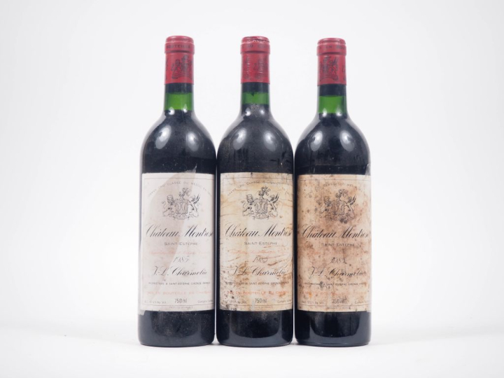 3 BOUTEILLES CHÂTEAU MONTROSE GCC SAINT ÉSTÈPHE - 1985 - 2 BONS NIVEAU