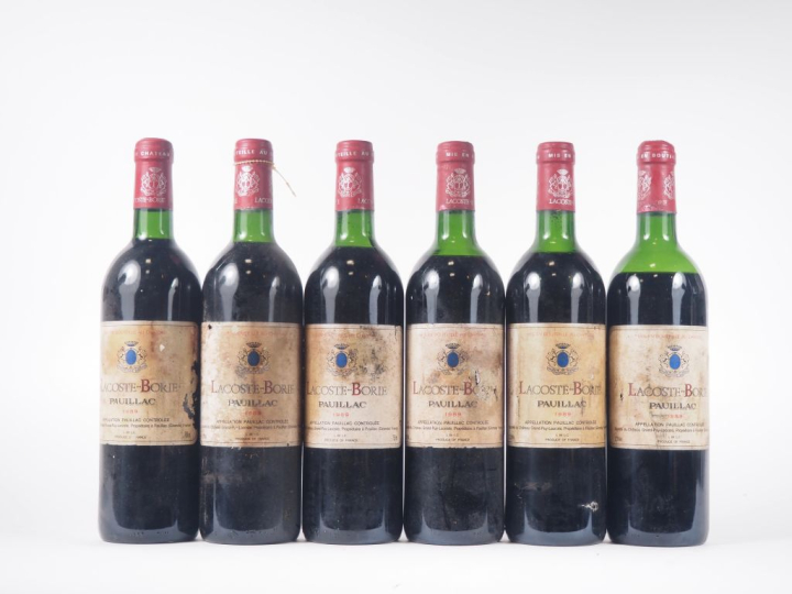 6 BOUTEILLES CHÂTEAU LACOSTE BORIE PAUILLAC - 1989 - 1 BON NIVEAU/1 BG