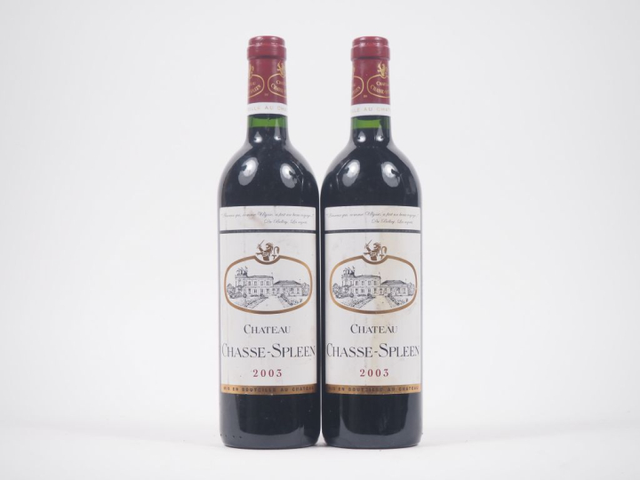 2 BOUTEILLES CHÂTEAU CHASSE SPLEEN MOULIS - 2003 - ELS 