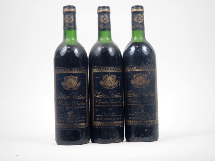3 BOUTEILLES CHÂTEAU DESTIEUX GC ST ÉMILION  : 2 DE 1986 - HEP/MEP/1 D