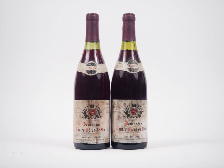 2 BOUTEILLES BOURGOGNE HAUTES CÔTES DE NUITS G. CORTEL - 1988 - ES