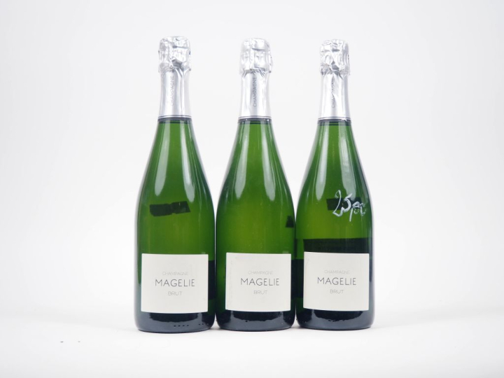 3 BOUTEILLES CHAMPAGNE MAGELIE