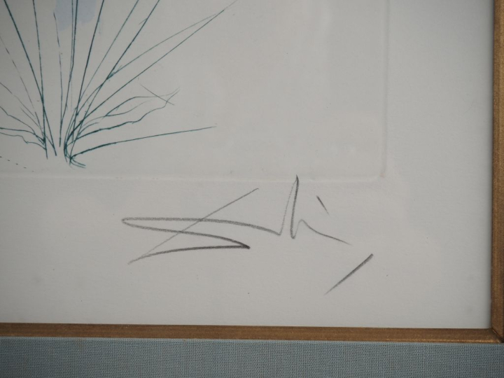 DALI.  Lithographie numérotée 119/250 contresignée en bas à droite