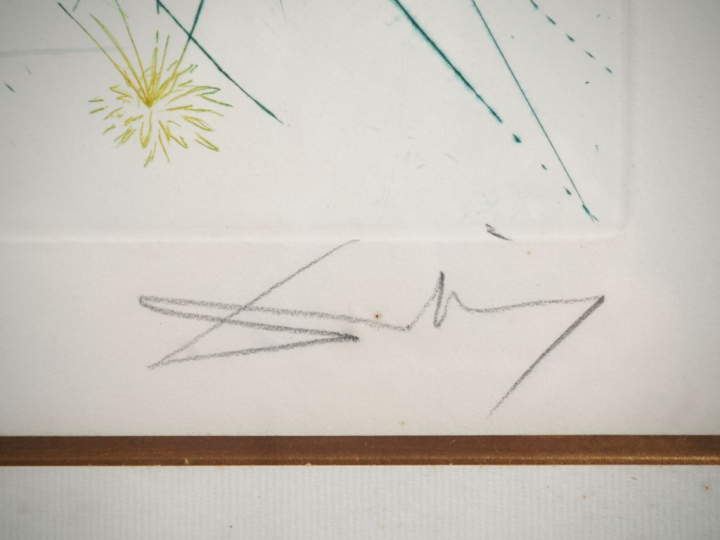 DALI.  Lithographie numérotée 121/250 contresignée en bas à droite