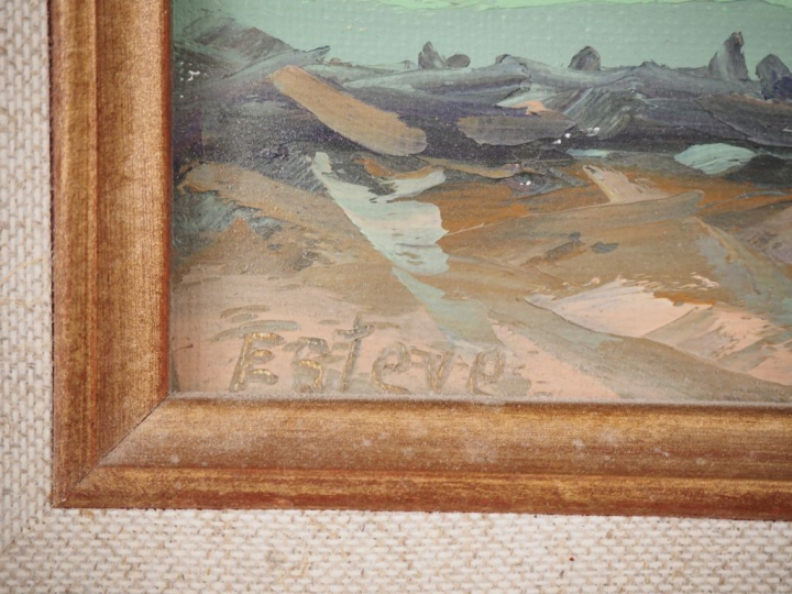 ESTEVE.  "Paysage de l'Aude  au printemps" Huile sur toile, signée en 