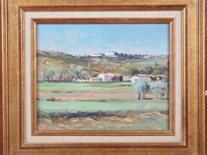 ESTEVE.  "Paysage de l'Aude  au printemps" Huile sur toile, signée en 