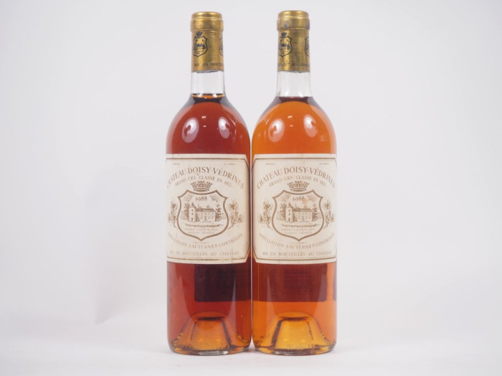 2 BOUTEILLES CHÂTEAU RAYNE VIGNEAU 1er CC SAUTERNES - 1989 - EA 