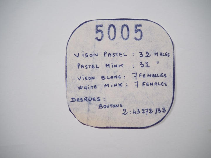 Christian DIOR Ensemble comprenant huit patrons de couture :  - VISON 