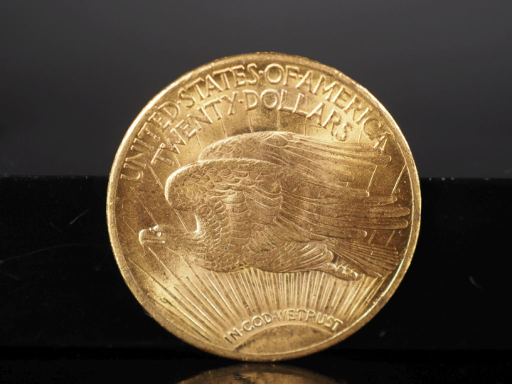 Pièce de 20 Dollars or, 1924. FRAIS ACHETEURS 5% TTC.
