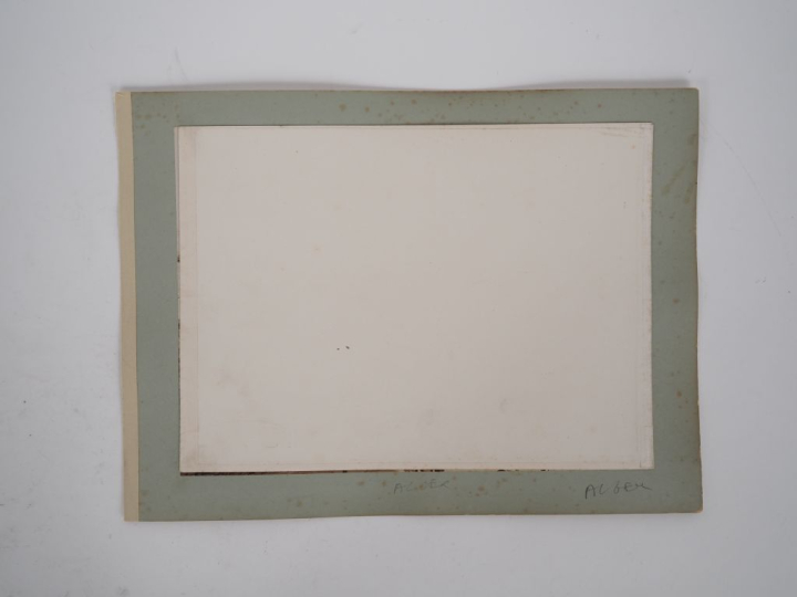 PHOTOGRAPHIE – ALGÉRIE. PANORAMA D’ALGER. Tirage albuminé d’époque en 