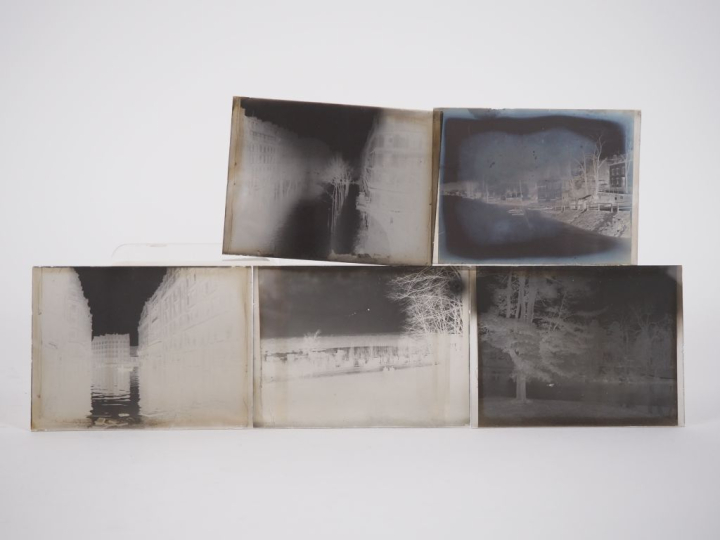 PHOTOGRAPHIE. Lot de seize plaques photographiques négatives 'A. Lumiè