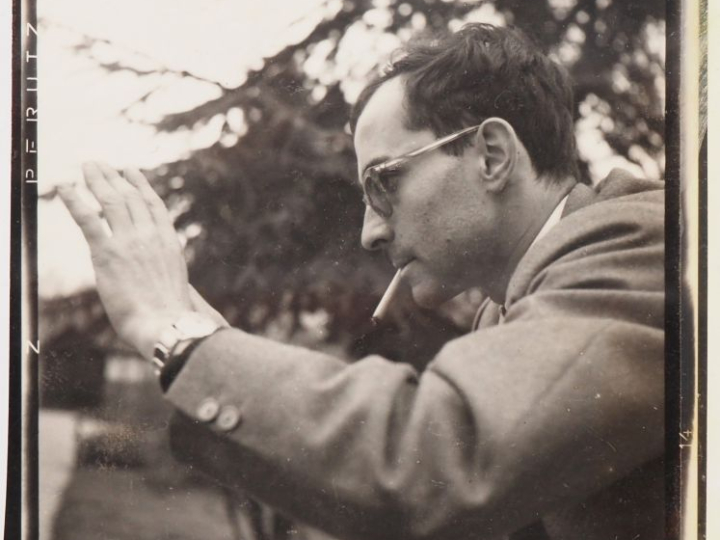 PHOTOGRAPHIE. Lot comprenant :  - quinze plaques photographiques 4,5 x