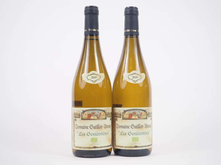 2 BOUTEILLES MACON CRUZILLE "LES GENEVRIÈVRES" DOMAINE GUILLOT BROUX -