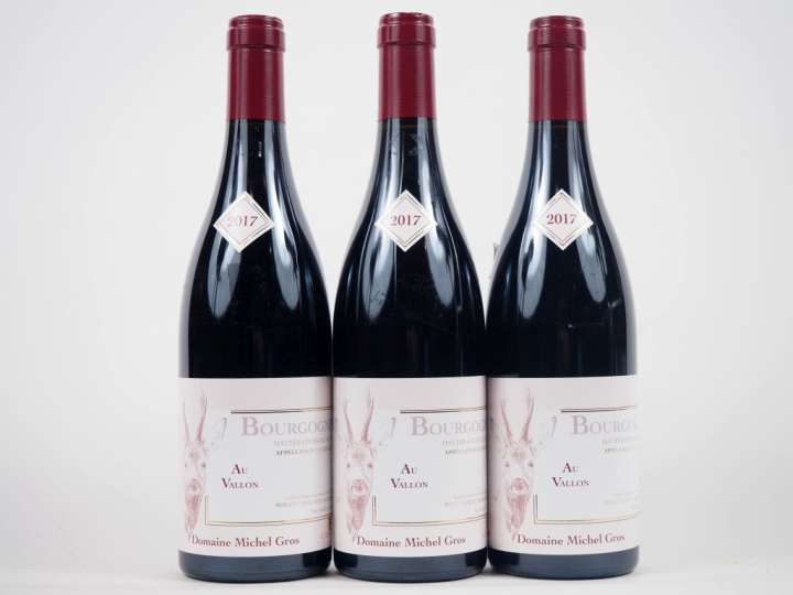3 BOUTEILLES HAUTES CÔTES DE NUITS "AU VALLON" DOMAINE MICHEL GROS - 2