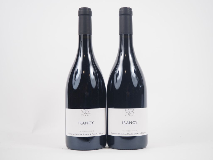 2 BOUTEILLES BOURGOGNE "IRANCY" DOMAINE CHRISTINE ELODIE ET PATRICK CH