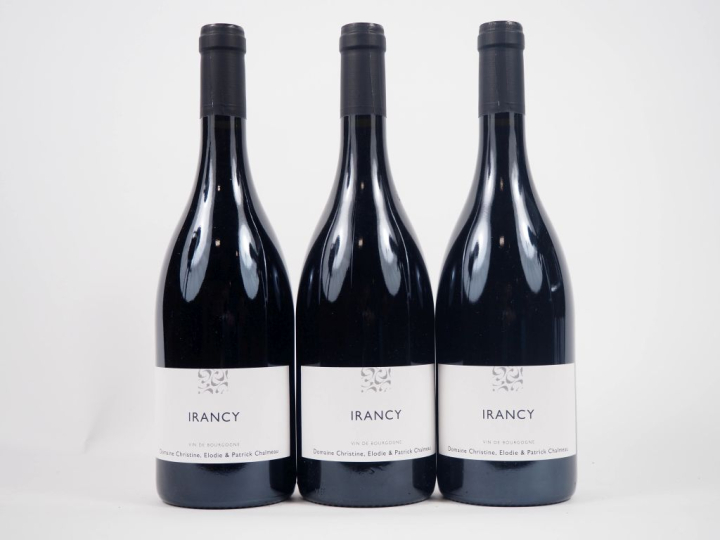 3 BOUTEILLES BOURGOGNE "IRANCY" DOMAINE CHRISTINE ELODIE ET PATRICK CH