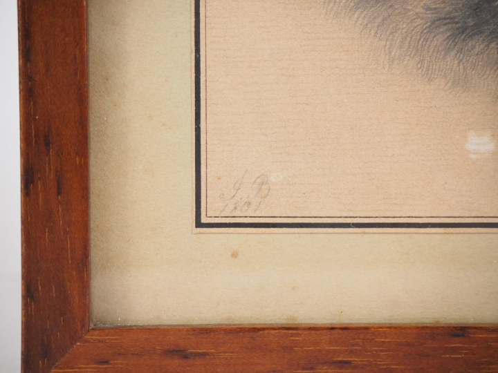 Ecole française XIXème. "Le loup". Dessin au crayon monogrammé en bas 