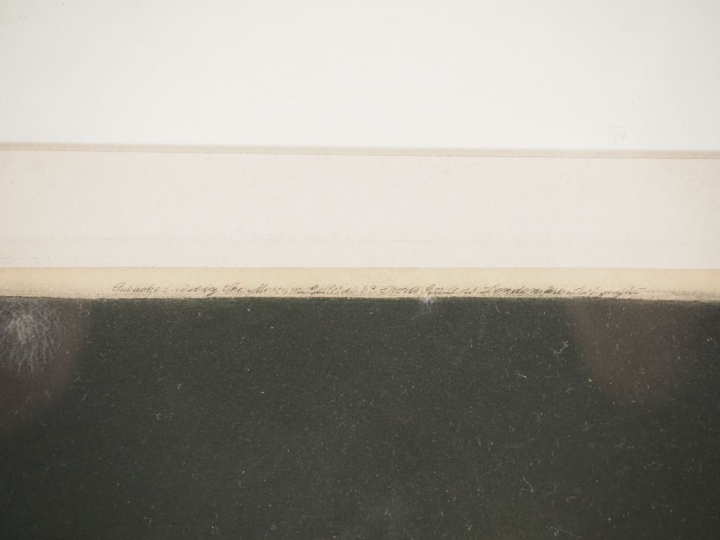 Ecole anglaise XIXème.  "homme au jabot" Eau forte