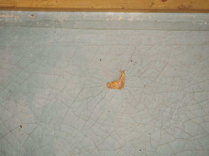 LAMOTTE.  "bouquet de chrysantèmes" Huile sur toile, signée en bas à d