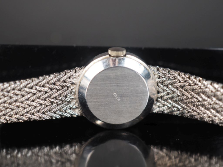BERNEY-BLONDEAU, Genève Montre bracelet de dame, boitier et bracelet e