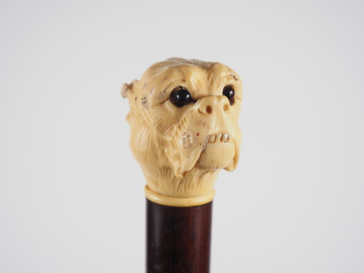 Parapluie 1900 en textile noir et bois, pommeau figurant une tête de d