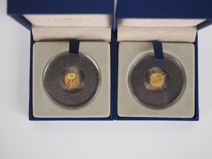 Pièce de 5 euros Egypte 2012 en or 999, monnaie de Paris, dans son écr