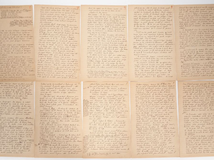 [ALGÉRIE - SAHARA]. 1880-1882. INSURRECTION DU SUD ORANAIS. FAITS PART