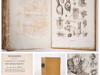 Vente aux enchères CUVIER (Georges). MÉMOIRES POUR SERVIR À L’HISTOIRE ET À L’ANATOMIE DE