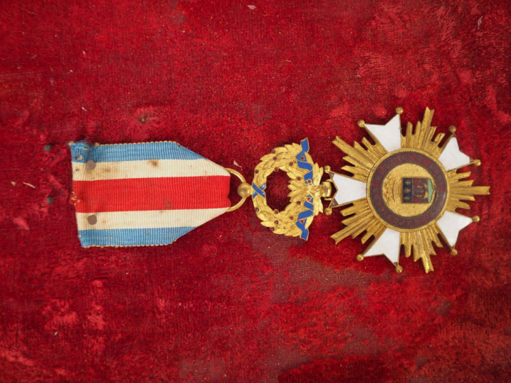 Cadre de récompenses contenant quatorze éléments dont palmes, médaille