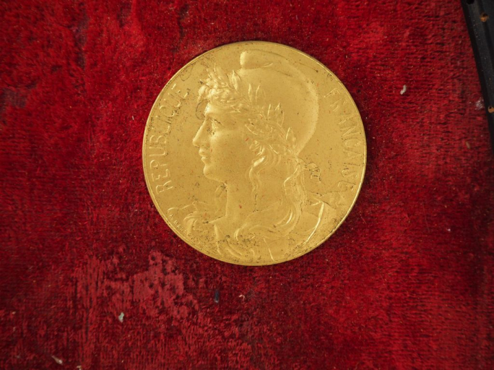 Cadre de récompenses contenant quatorze éléments dont palmes, médaille