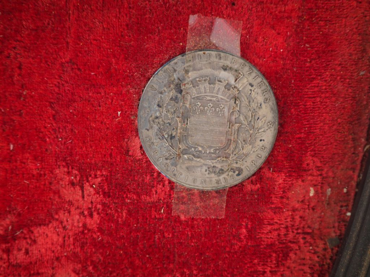 Cadre de récompenses contenant quatorze éléments dont palmes, médaille