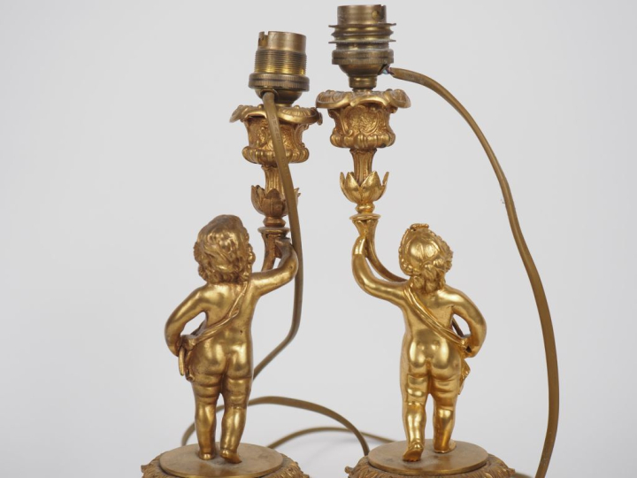 Paire de lampes de salon de style Louis XVI en bronze patiné et doré, 