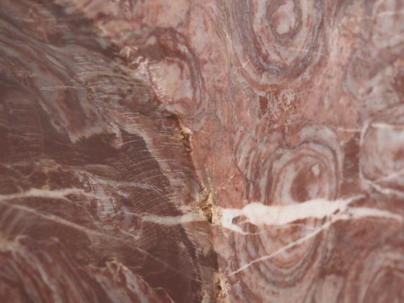 Ecole française d'après l'antique.  "Buste d'empereur romain" Sculptur