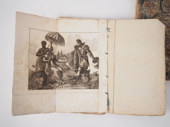 Petit cabinet des fées Paris chez Delarue librairie quai dens Augustin