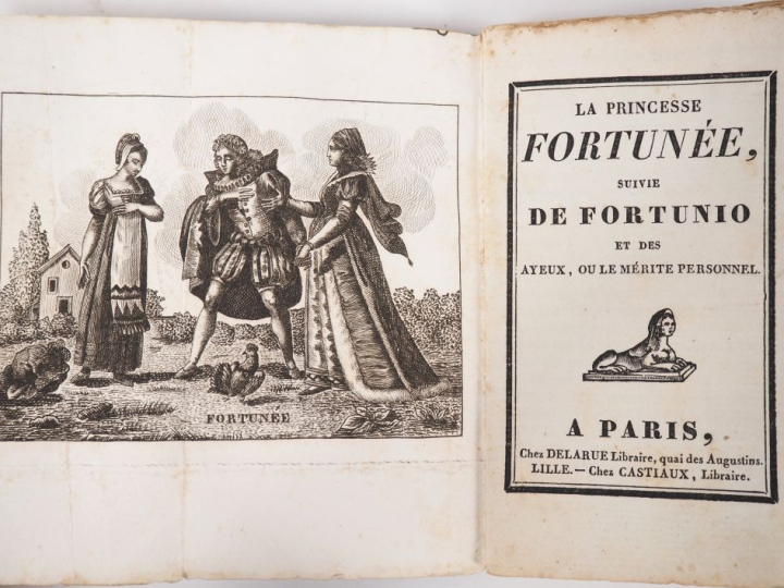 Petit cabinet des fées Paris chez Delarue librairie quai dens Augustin