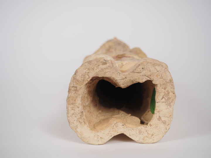 Chine, période Tang Mingqi en terre cuite beige anciennement vernissée