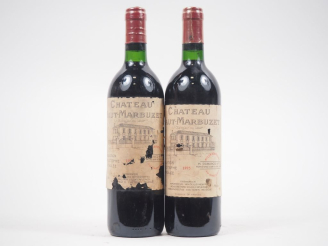 Vente aux enchères 2 BOUTEILLES CHÂTEAU HAUT MARBUZET ST ESTÈPHE - 1995 - EA 
