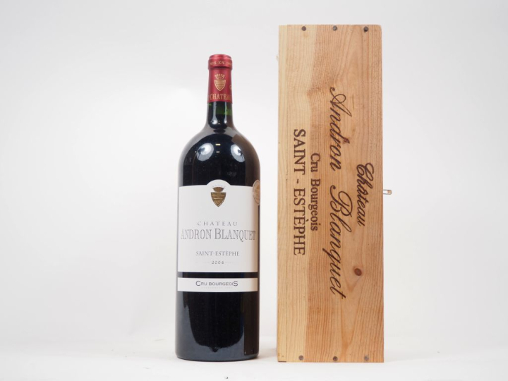 1 MAGNUM CHÂTEAU ANDRON BLANQUET CB ST ESTÈPHE - 2004