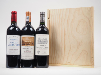 Vente aux enchères 3 BOUTEILLES CBO : 1 CHÂTEAU LUCHEY HALDE GRAVES - 2008 / 1 CHÂTEAU PA