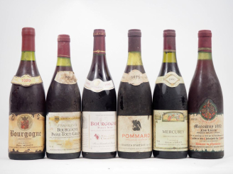 Vente aux enchères 6 BOUTEILLES : 1 BOURGOGNE PAUL MONIOT - 1986 / 1 BOURGOGNE PASSE TOUT